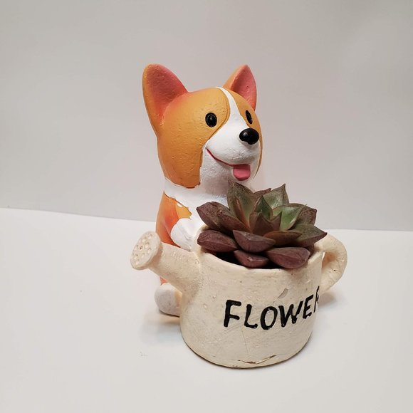 Hand Crafted Other - Corgi Planter with Echeveria Succulent, Dog with Watering Can, Animal Planter